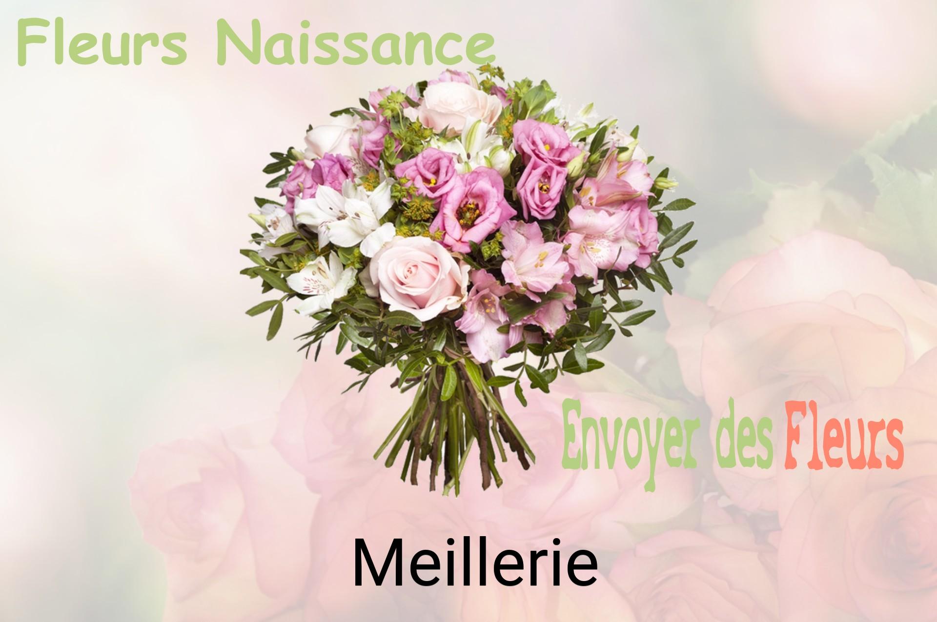 Bouquet de fleurs de naissance livré à Meillerie